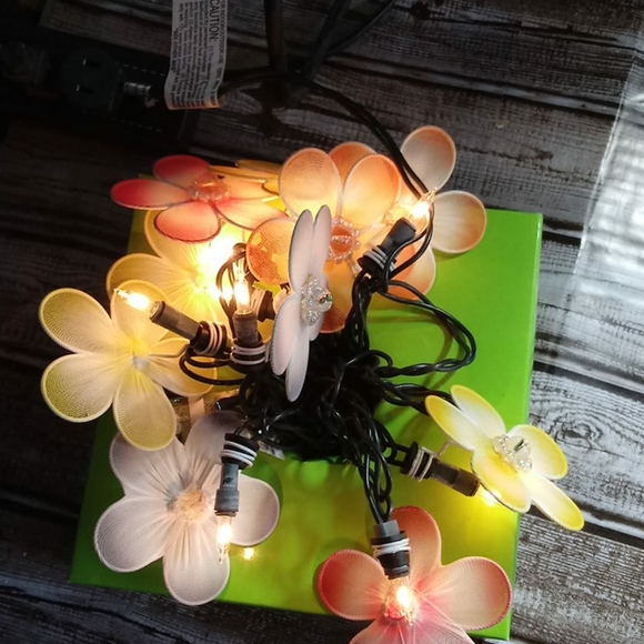 Bundle of String Lights - Picture 5 of 7
